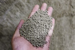 Quy trình sản xuất cát vệ sinh cho mèo vón cục