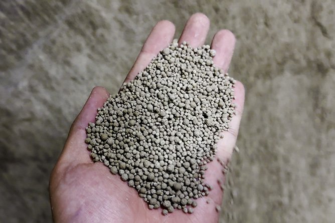 Cát vệ sinh cho mèo Bentonite có hại cho mèo và con người không? Hướng dẫn toàn diện