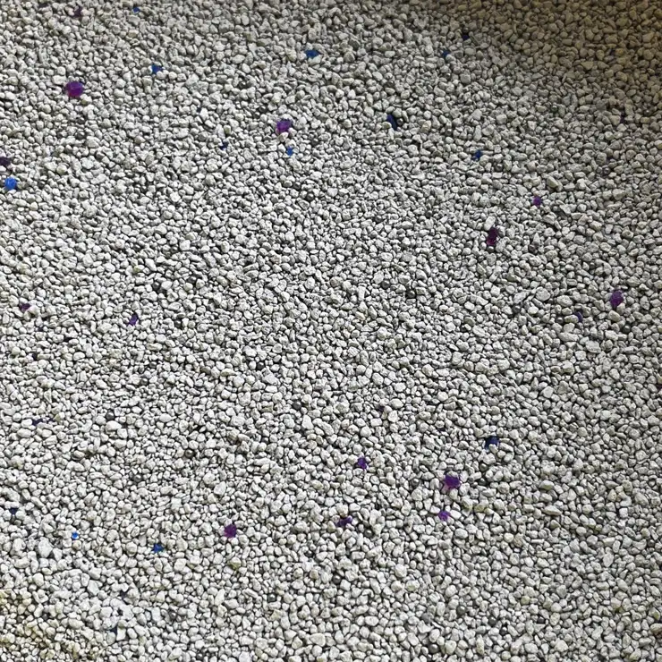 Cát mèo bentonite Little Blue Mineral với hạt xanh tím và carbon ball